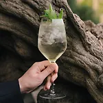 Bencista 3* Фьезоле