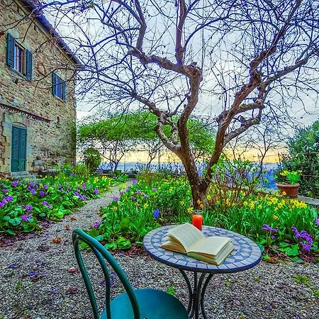 Bencista Fiesole